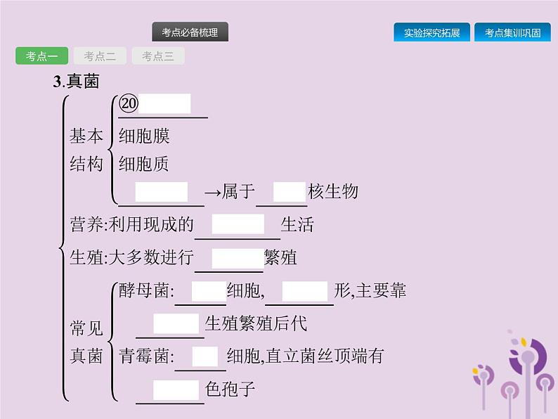 初中生物中考复习 课标通用中考生物总复习第五单元生物圈中的其他生物第十八讲细菌真菌和簿课件07