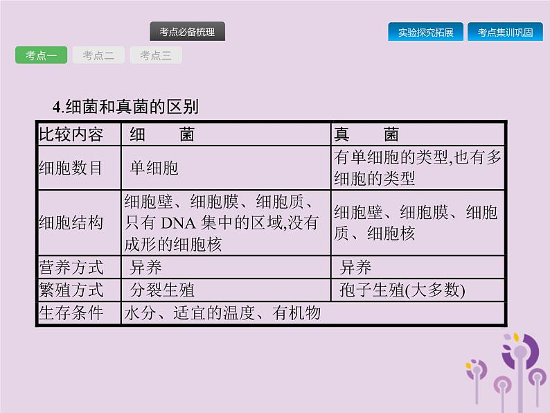 初中生物中考复习 课标通用中考生物总复习第五单元生物圈中的其他生物第十八讲细菌真菌和簿课件08