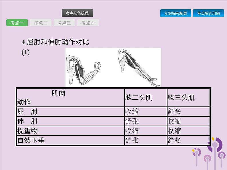 初中生物中考复习 课标通用中考生物总复习第五单元生物圈中的其他生物第十七讲动物的运动行为及动物在生物圈中的作用课件第4页