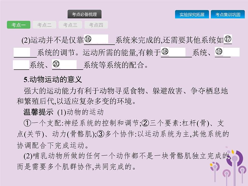 初中生物中考复习 课标通用中考生物总复习第五单元生物圈中的其他生物第十七讲动物的运动行为及动物在生物圈中的作用课件第5页