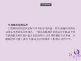 初中生物中考复习 课标通用中考生物总复习专题二生物体的结构层次课件