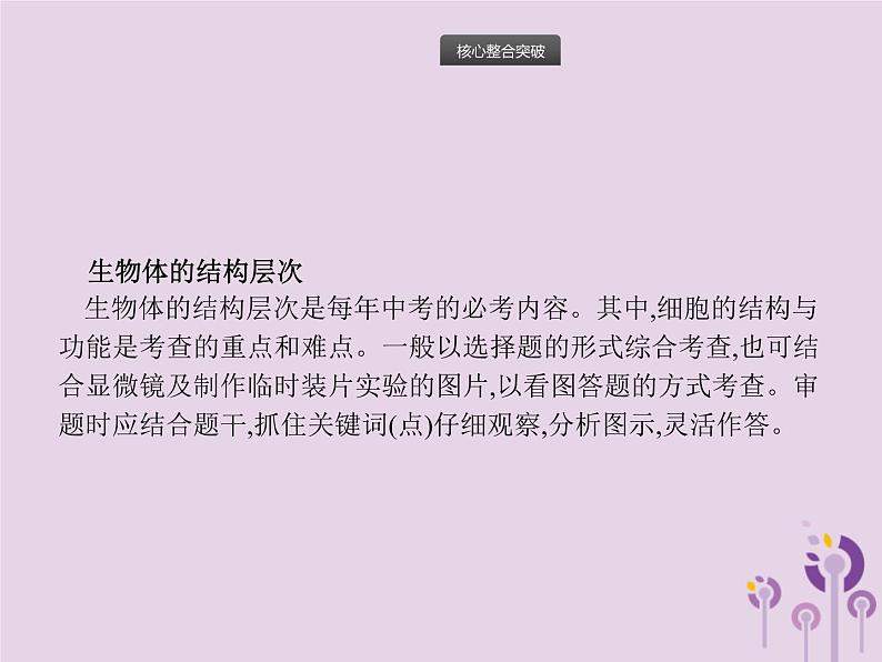 初中生物中考复习 课标通用中考生物总复习专题二生物体的结构层次课件03