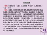 初中生物中考复习 课标通用中考生物总复习专题二生物体的结构层次课件
