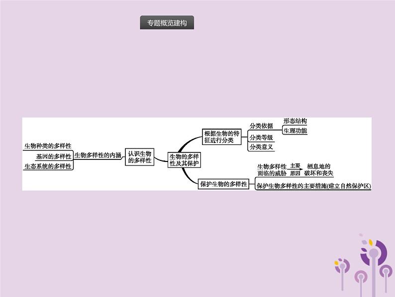 初中生物中考复习 课标通用中考生物总复习专题六生物的多样性及其保护课件02