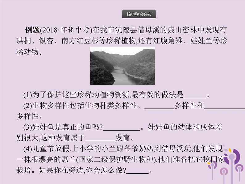 初中生物中考复习 课标通用中考生物总复习专题六生物的多样性及其保护课件04