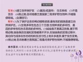 初中生物中考复习 课标通用中考生物总复习专题六生物的多样性及其保护课件