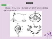 初中生物中考复习 课标通用中考生物总复习专题七生物圈中生命的延续和发展课件
