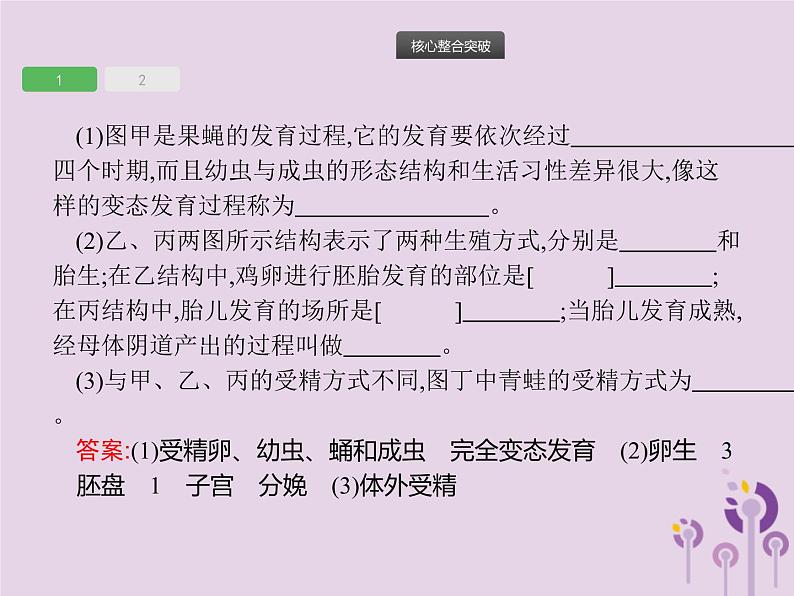 初中生物中考复习 课标通用中考生物总复习专题七生物圈中生命的延续和发展课件05