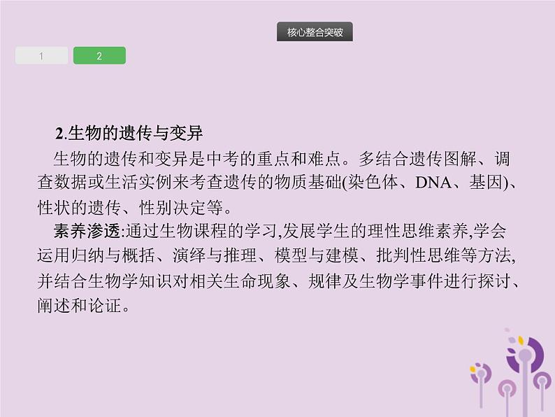 初中生物中考复习 课标通用中考生物总复习专题七生物圈中生命的延续和发展课件06