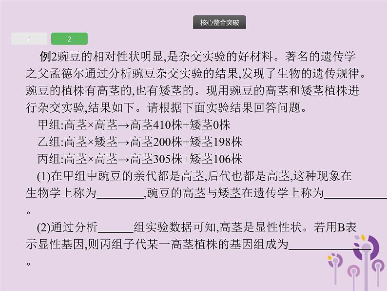 初中生物中考复习 课标通用中考生物总复习专题七生物圈中生命的延续和发展课件07