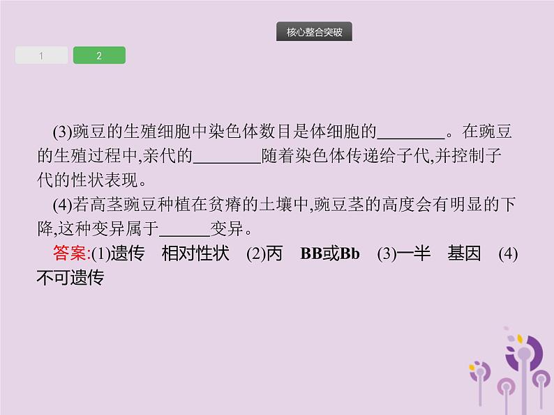 初中生物中考复习 课标通用中考生物总复习专题七生物圈中生命的延续和发展课件08