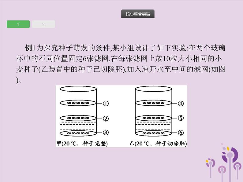 初中生物中考复习 课标通用中考生物总复习专题三生物圈中的绿色植物课件第4页