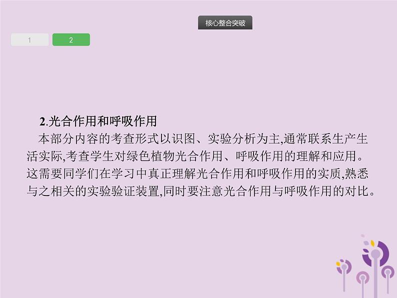 初中生物中考复习 课标通用中考生物总复习专题三生物圈中的绿色植物课件第7页