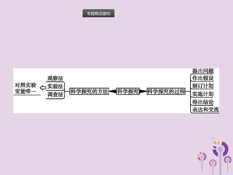 初中生物中考复习 课标通用中考生物总复习专题十科学探究课件第2页