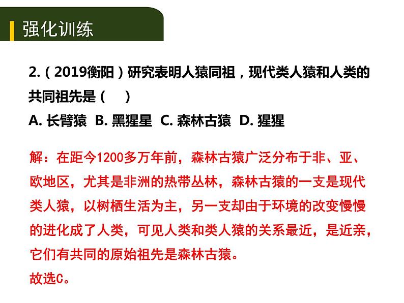 初中生物中考复习 五、（五）人是生物圈中的一员课件PPT第6页