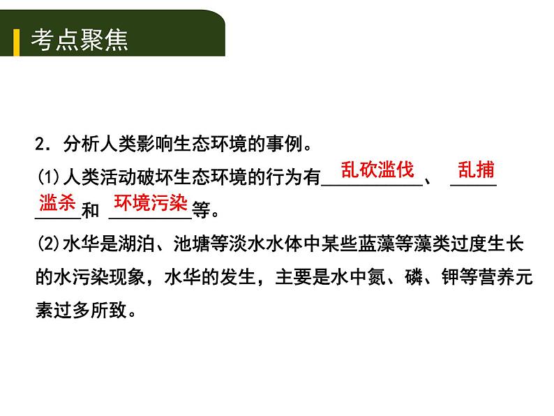 初中生物中考复习 五、（五）人是生物圈中的一员课件PPT第8页