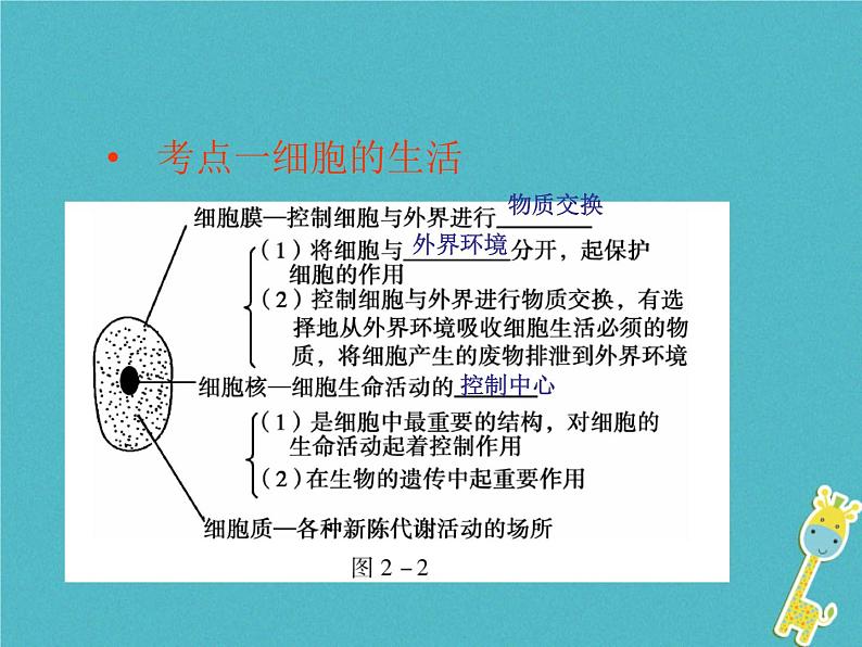 初中生物中考复习 中考生物会考总复习主题二生物体的结构层次课件新人教版第5页