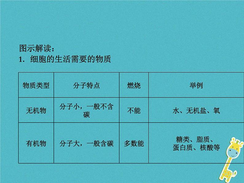 初中生物中考复习 中考生物会考总复习主题二生物体的结构层次课件新人教版第6页