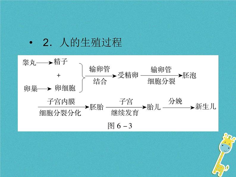 初中生物中考复习 中考生物会考总复习主题六生物的生殖发育和遗传课件新人教版第5页