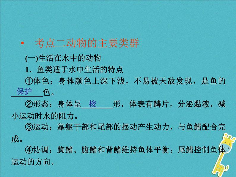 初中生物中考复习 中考生物会考总复习主题七生物的多样性课件新人教版04