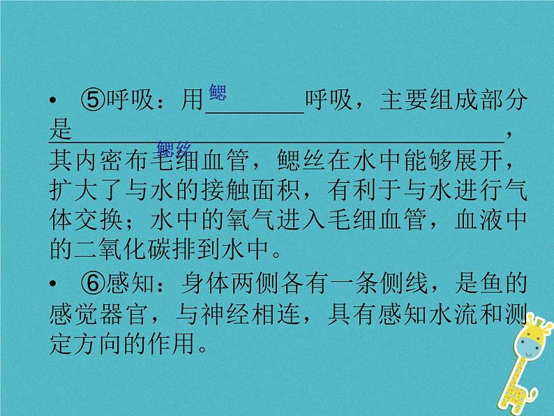 初中生物中考复习 中考生物会考总复习主题七生物的多样性课件新人教版05