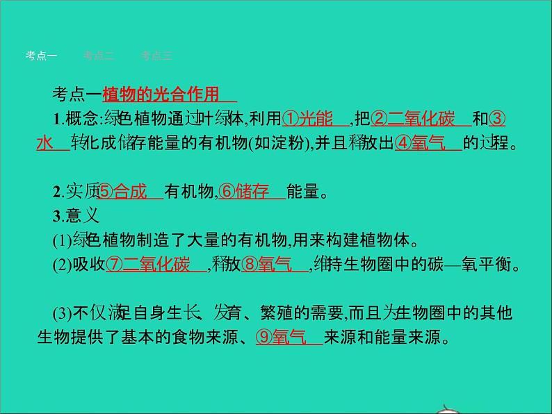 初中生物中考复习 中考生物总复习第八讲生物圈中的碳_氧平衡课件第2页