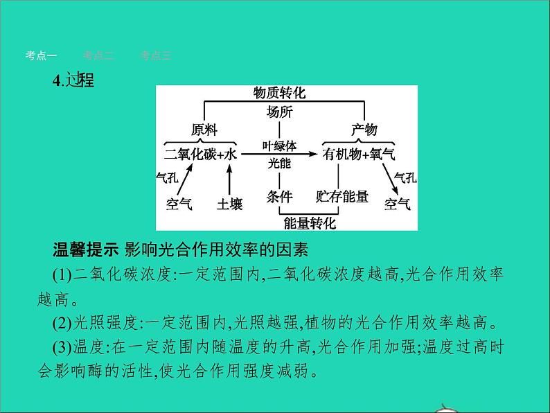 初中生物中考复习 中考生物总复习第八讲生物圈中的碳_氧平衡课件第3页