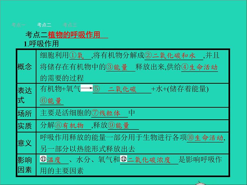 初中生物中考复习 中考生物总复习第八讲生物圈中的碳_氧平衡课件第4页