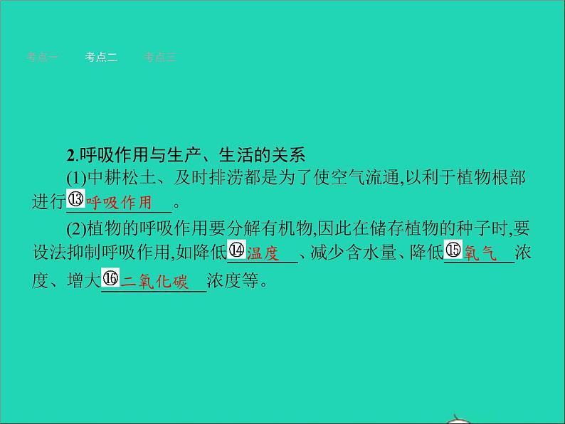 初中生物中考复习 中考生物总复习第八讲生物圈中的碳_氧平衡课件第5页