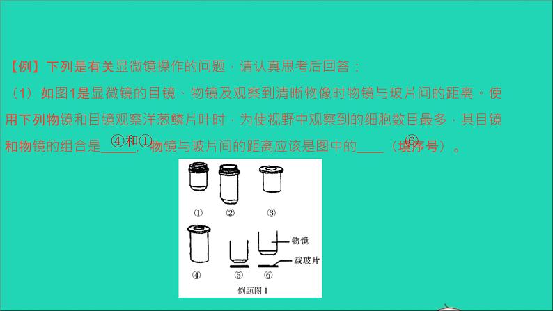 初中生物中考复习 中考生物总复习第二部分重点题型探究题型一实验题观察实验课件第3页