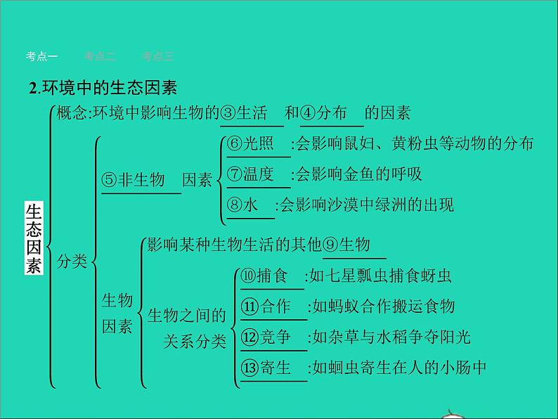 初中生物中考复习 中考生物总复习第二讲了解生物圈课件03