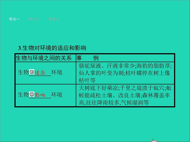 初中生物中考复习 中考生物总复习第二讲了解生物圈课件04