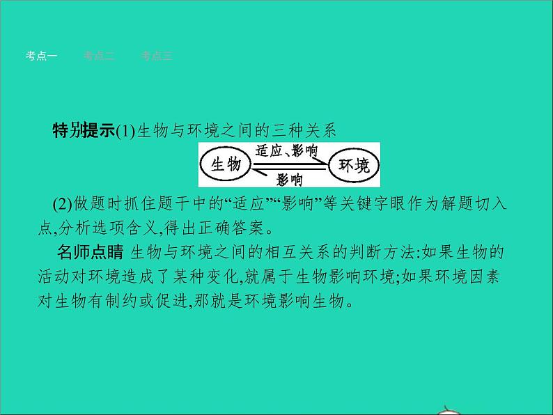 初中生物中考复习 中考生物总复习第二讲了解生物圈课件05