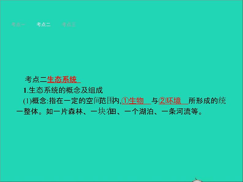 初中生物中考复习 中考生物总复习第二讲了解生物圈课件06