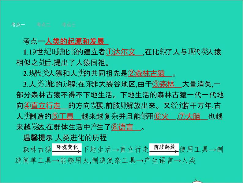 初中生物中考复习 中考生物总复习第九讲人的由来课件03