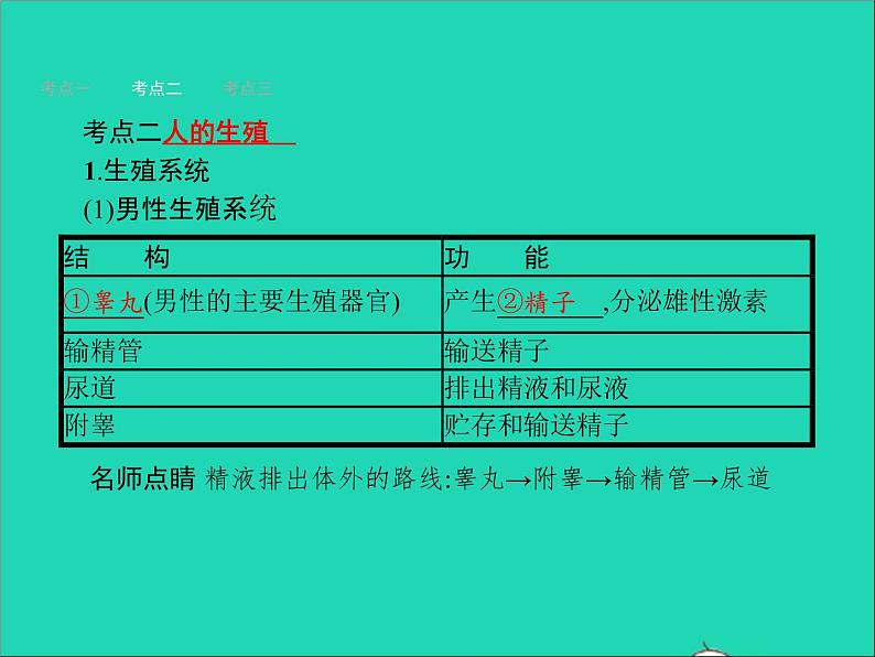 初中生物中考复习 中考生物总复习第九讲人的由来课件04