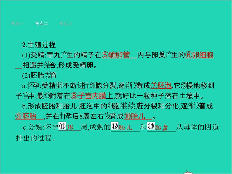 初中生物中考复习 中考生物总复习第九讲人的由来课件06