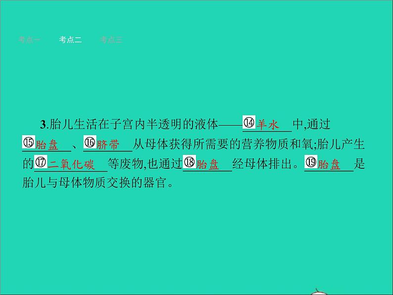 初中生物中考复习 中考生物总复习第九讲人的由来课件07