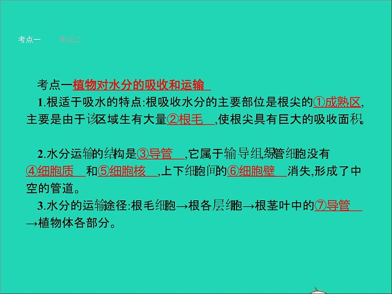 初中生物中考复习 中考生物总复习第七讲绿色植物与生物圈的水循环课件第2页