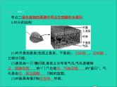 初中生物中考复习 中考生物总复习第七讲绿色植物与生物圈的水循环课件