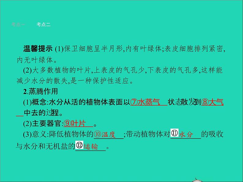 初中生物中考复习 中考生物总复习第七讲绿色植物与生物圈的水循环课件第4页