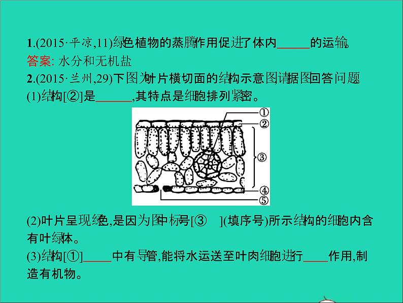 初中生物中考复习 中考生物总复习第七讲绿色植物与生物圈的水循环课件第6页