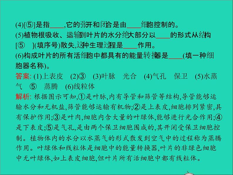 初中生物中考复习 中考生物总复习第七讲绿色植物与生物圈的水循环课件第7页