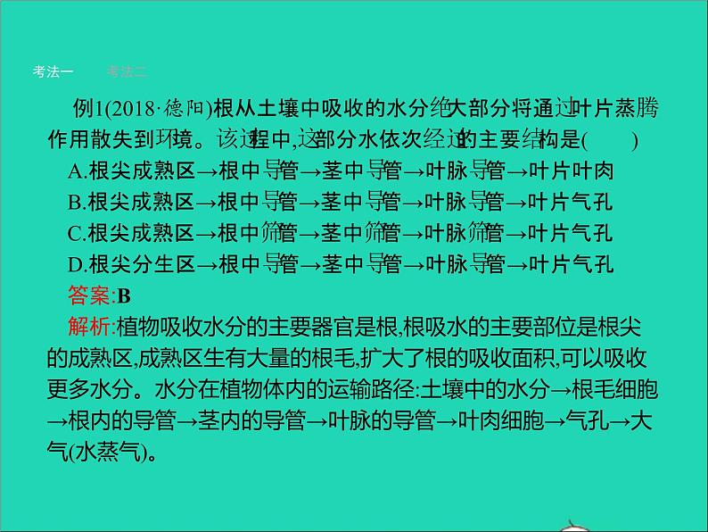 初中生物中考复习 中考生物总复习第七讲绿色植物与生物圈的水循环课件第8页