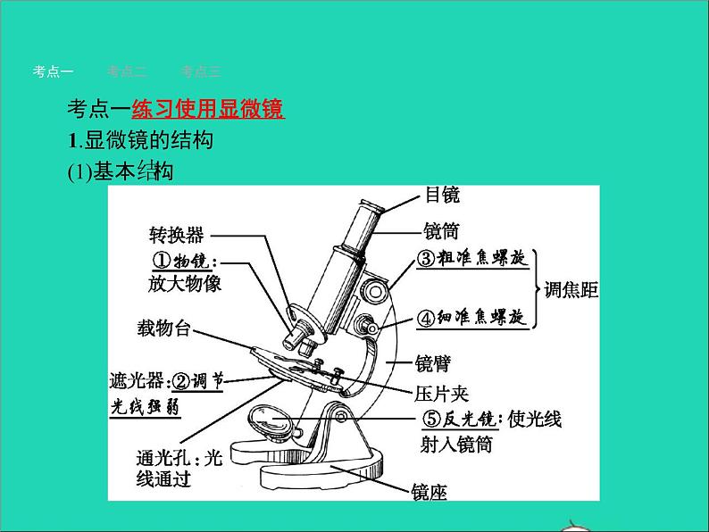 初中生物中考复习 中考生物总复习第三讲细胞是生命活动的基本单位课件第3页