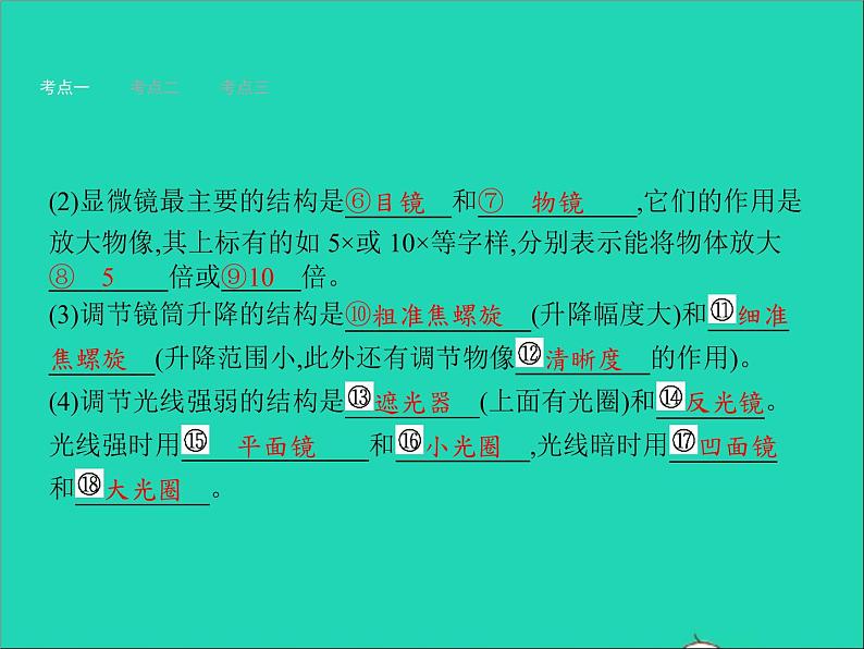 初中生物中考复习 中考生物总复习第三讲细胞是生命活动的基本单位课件第4页