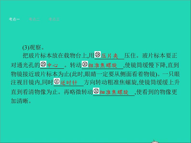 初中生物中考复习 中考生物总复习第三讲细胞是生命活动的基本单位课件第7页