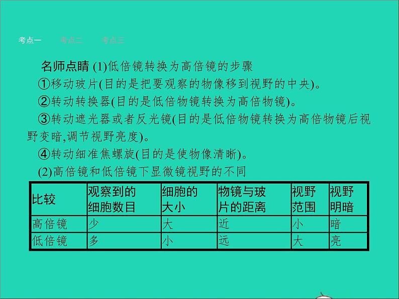 初中生物中考复习 中考生物总复习第三讲细胞是生命活动的基本单位课件第8页