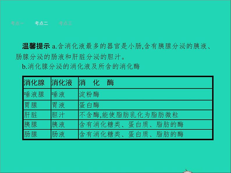 初中生物中考复习 中考生物总复习第十讲人体的营养课件08