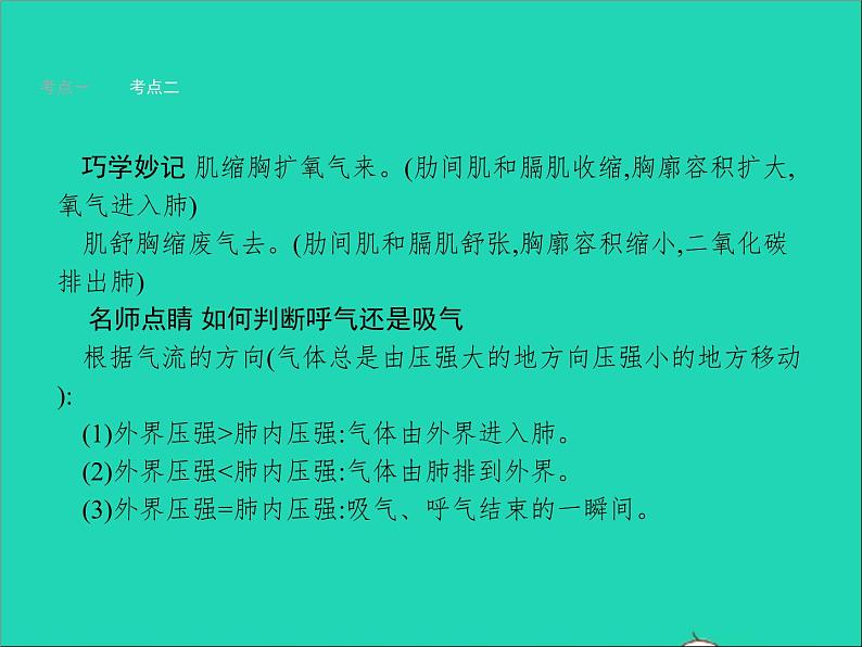 初中生物中考复习 中考生物总复习第十一讲人体的呼吸课件05